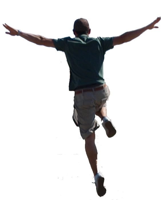 fly